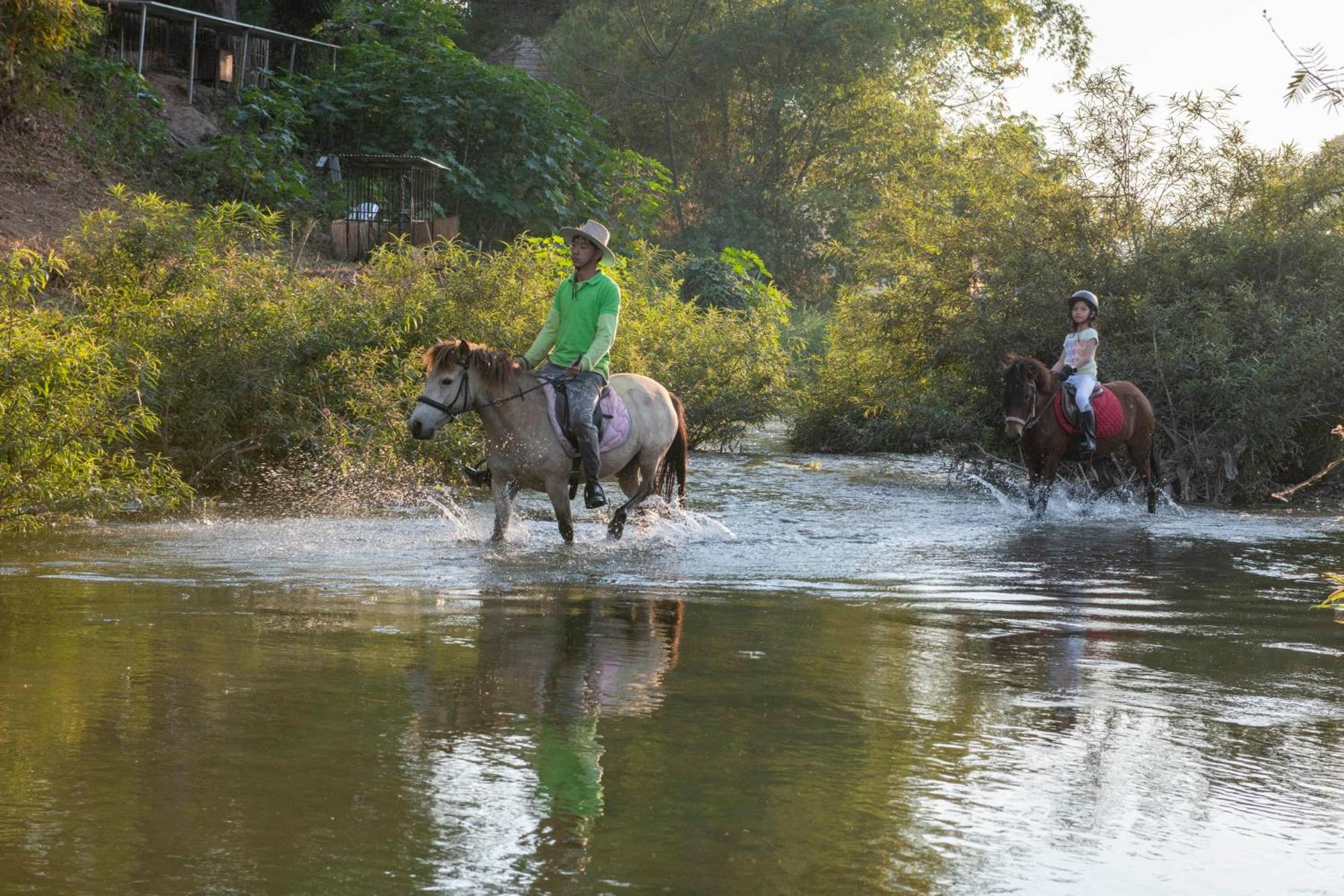 Namkhan Horses Stables Luang Prabang Dış mekan fotoğraf