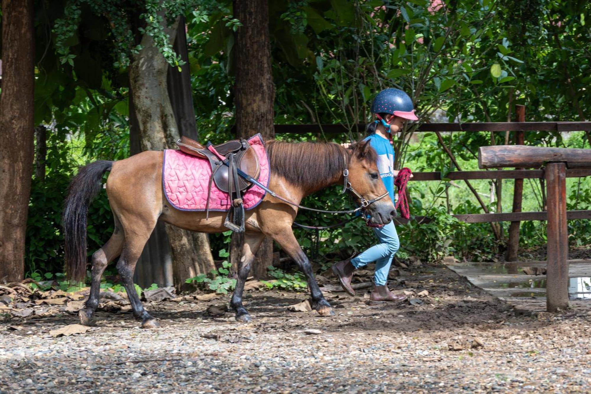 Namkhan Horses Stables Luang Prabang Dış mekan fotoğraf
