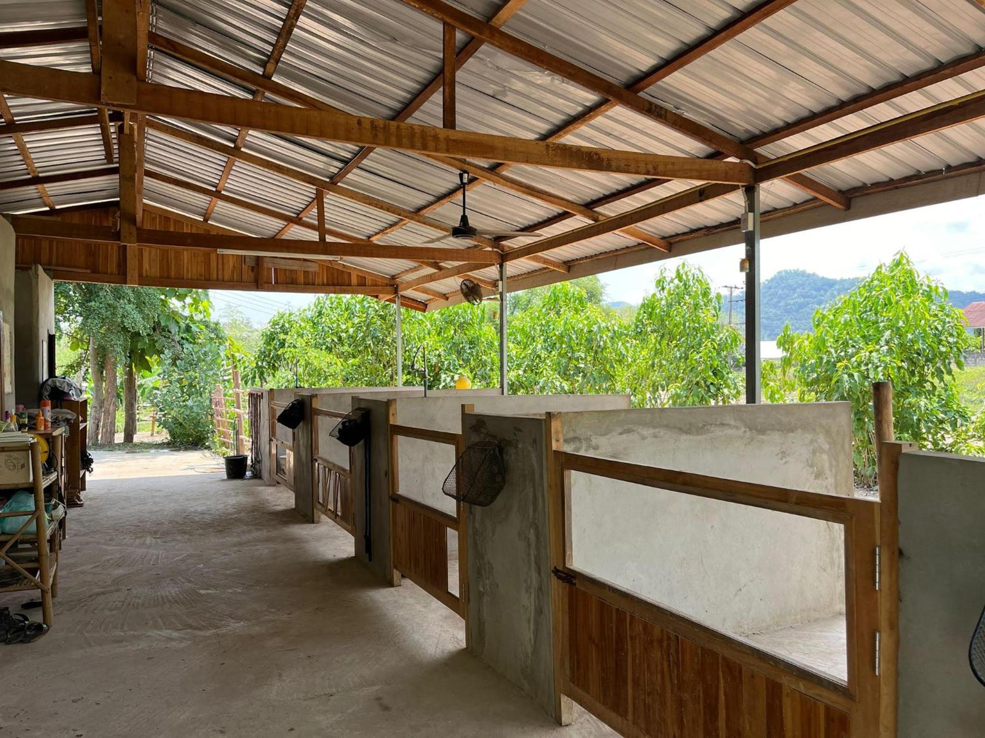 Namkhan Horses Stables Luang Prabang Dış mekan fotoğraf